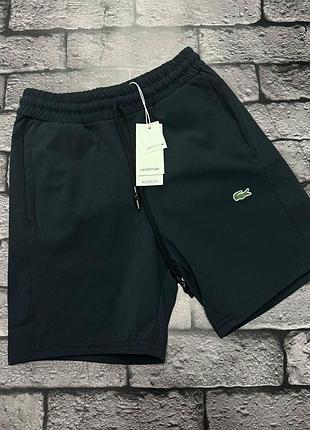 Чоловічі шорти lacoste