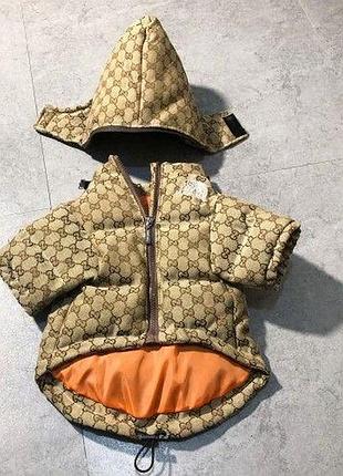 Куртка для собачки the north face&gucci