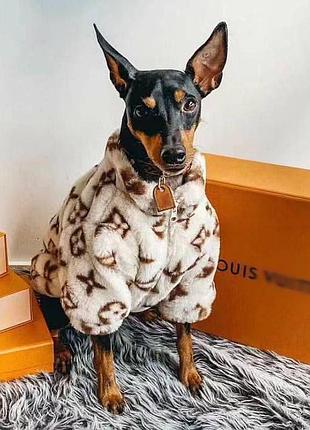 Шубка для песика louis vuitton люкс