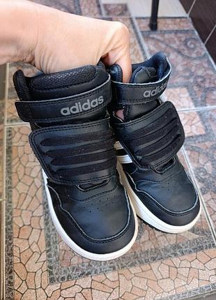 Хайтопи снікерси adidas