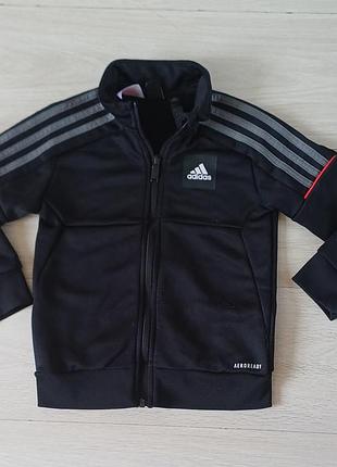 Спортивная кофта  adidas