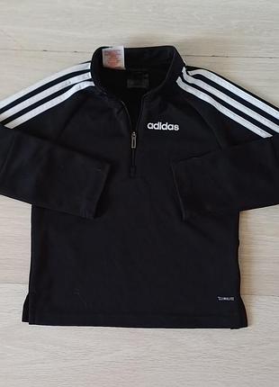 Спортивная кофта  adidas