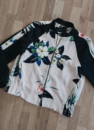 Вітровка,zara.