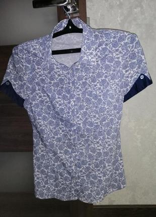 Сорочка, сорочка, блуза