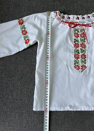 Вищиванка 110см 3