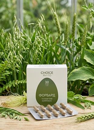 Форвард мужской комплекс choice phyto, 30 капсул по 400 мг, диетическая добавка для мужчин