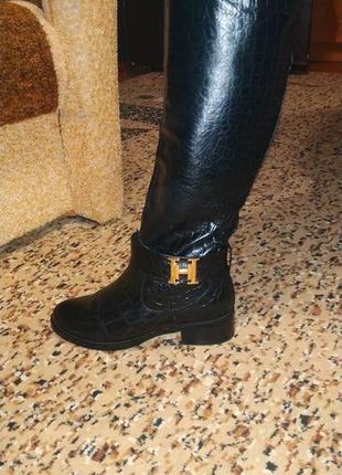 Чоботи black hermes