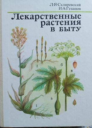 Лікарські рослини в побуті