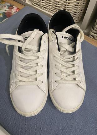 Кросівки lacoste,