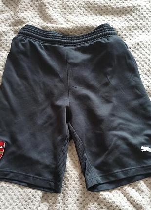 Шорты puma arsenal(m)