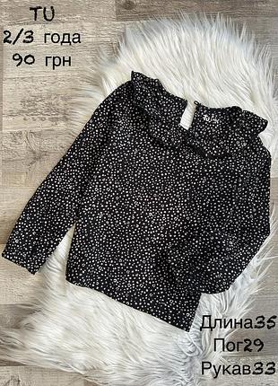 Реглан 2/3 роки