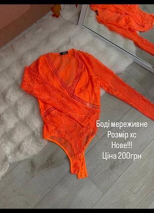 Бодді новий
