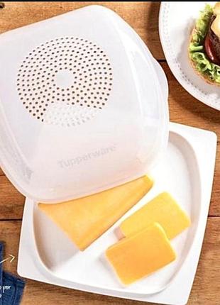 Сирника tupperware малая
