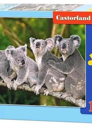 Пазлы castorland коали, b-13289 120 элементов