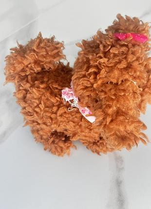 Собачка chi chi love 2