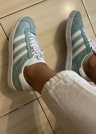 Кросівки adidas gazelle бірюза