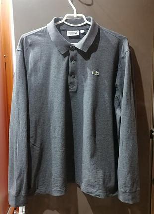 Поло  lacoste