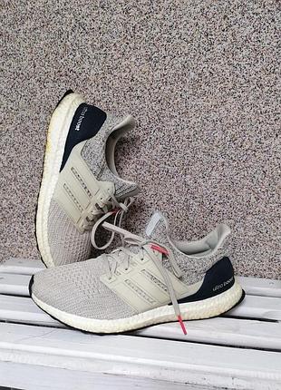 Кросівки adidas
