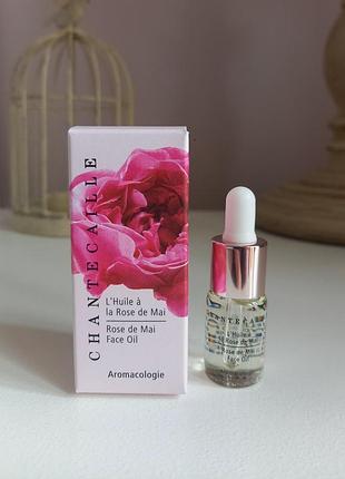Chantecaille rose de mai face oil інтенсивна живильна олійка для освітлення та зволоження, 4 ml