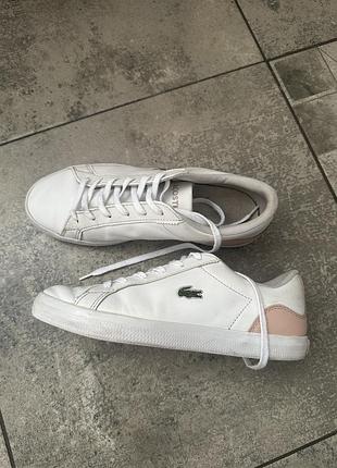 Кеди жіночі lacoste білі шкіряні 38 розмір