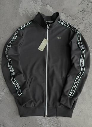 Мужская кофта lacoste серая с лампасами (исп худи) s / m / l / xl / xxl
