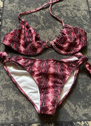 Guellermina baeza xl