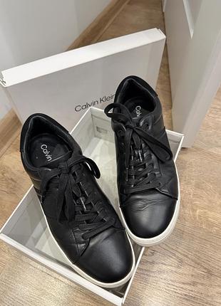 Calvin klein кеди