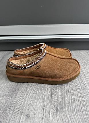 Замшеві сліпери жіночі ugg tasman