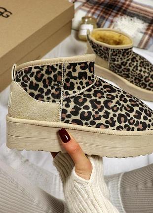 Зимняя женская обувь угги ugg classic ultra mini platform leopard леопард 36 38