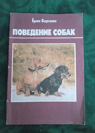 Еран бергман поведінку собак 1992