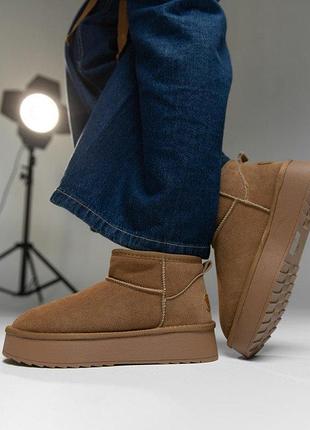 Женские ugg camel zam ug100-2 нп5047