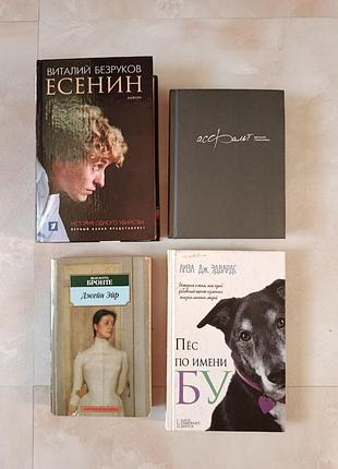 Комплект книг, книги русскими, книги на руске бронте, грушковиц, безруков, эдвардс
