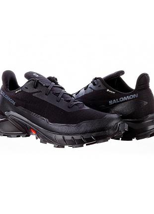 Кросівки чоловічі salomon alphacross 5 gore-tex (l47307500) 42