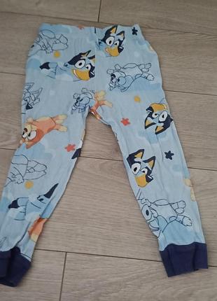 Піжамні штанці bluey