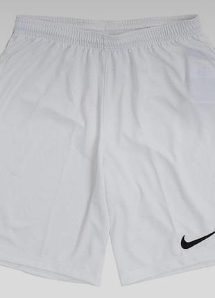 Мужские шорты nike dri-fit