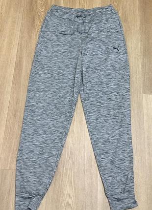 Чоловічі штани puma