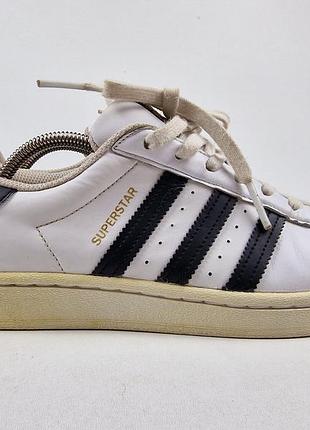 Кросівки adidas superstar