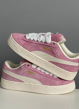 Замшеві кеди puma suede xl grape mist warm white