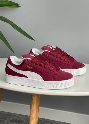 Замшеві кеди puma suede xl bordeaux white