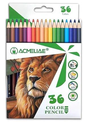 Карандаши для рисования "woodfree аcmeliae" pcp-036, 36 штук