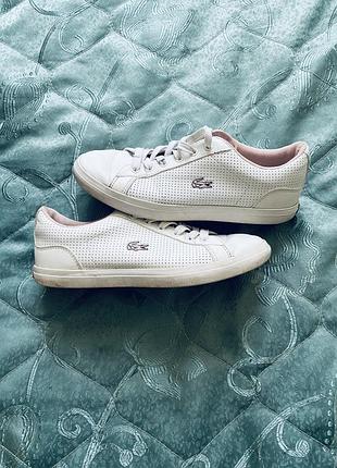 Жіночі кеди lacoste
