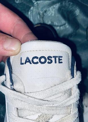 Кросівки lacoste