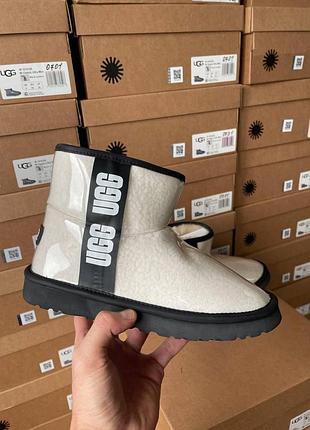 Жіночі угги ugg classic mini