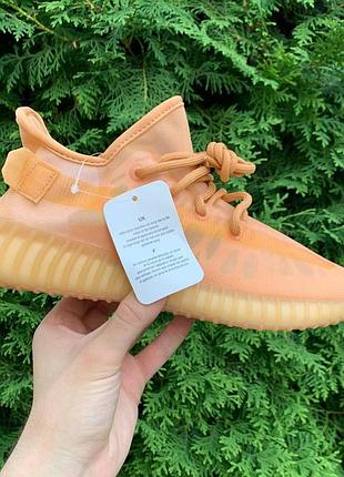 Женские adidas yeezy boost 350 изики адидас бежевые тканевые кроссовки