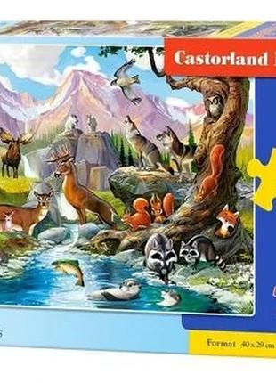 Пазли castorland "лісові тварини" 70 елементів 40 х 29 см (838257)