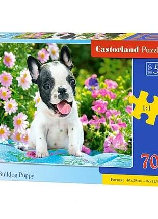 Пазли castorland "щеня французького бульдога" 70 елементів 40х29 см різнокольорові (839467)