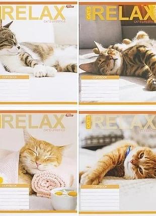 Зошит шкільний мрії збуваються "relax cat's" клітинка 18 аркушів різнокольоровий (838862)