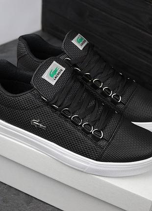 Чоловічі кросівки lacoste чорні шкіряні кроси високої якості лакосте повсякденне взуття на літо весну