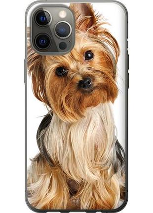 Чехол на iphone 12 pro max йоркширский терьер с хвостиком из пластика fch_0165361