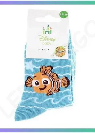 Шкарпетки nemo-bebe синій 19-22 дитячі повсякденні комфортні шкарпетки з принтом для хлопчиків sku_43847651-4